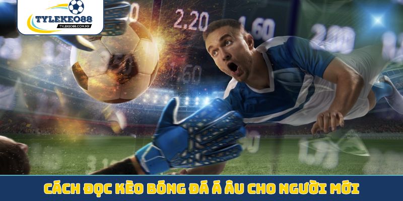 Cách đọc kèo bóng đá Á Âu cho người mới
