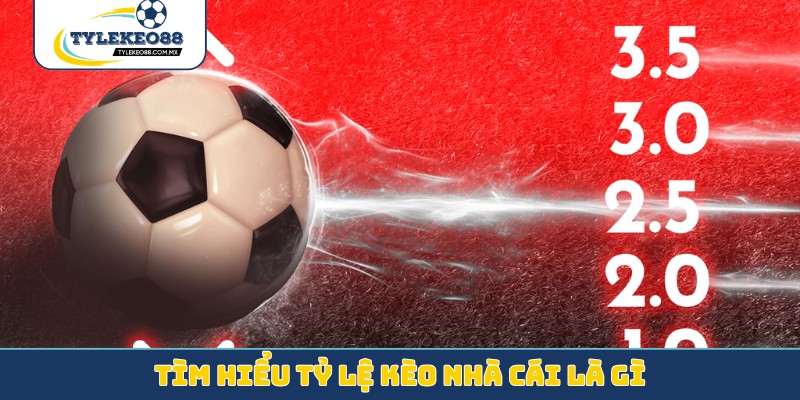 Tìm hiểu đúng về tỷ lệ kèo nhà cái là gì